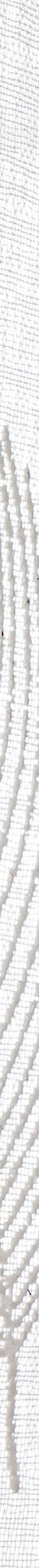 Vitrage passe-tringle motif plumes (blanc) Vitrage passe-tringle motif plumes (blanc)